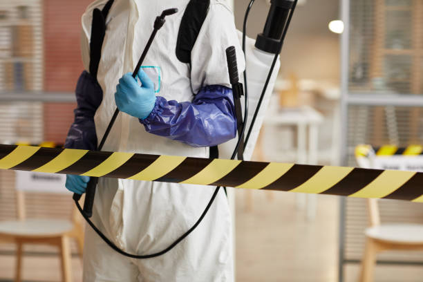 Professional Blood Cleanup technician working in Oak View, CA